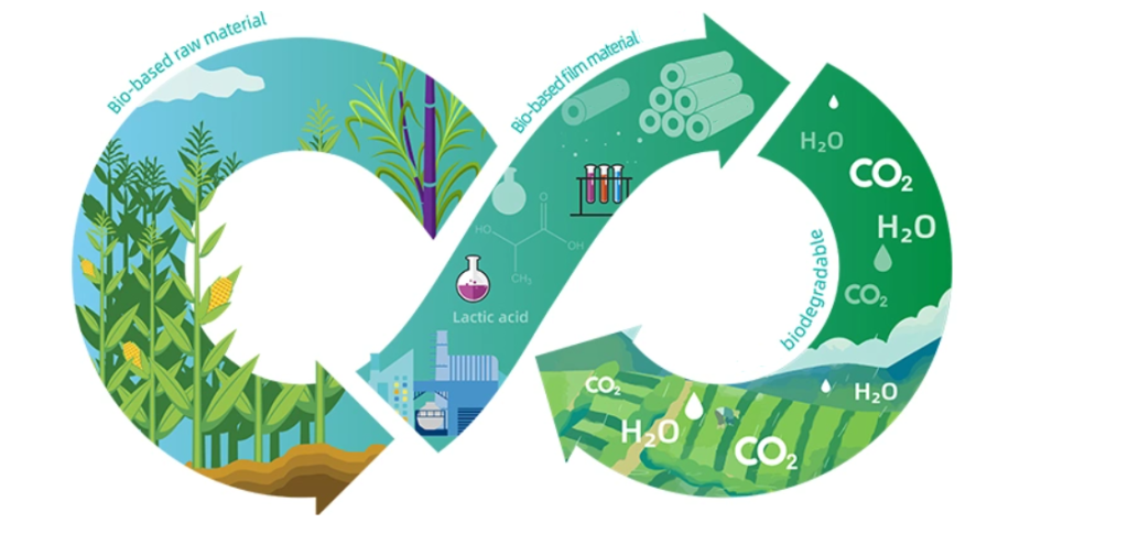 biobased stretch film