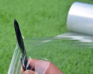 biodegradable stretch film