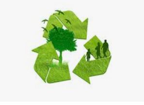 biodegradable