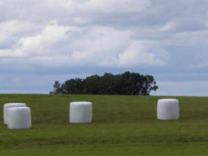 silage wrap film