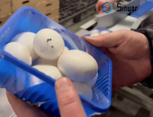 perforated stretch film