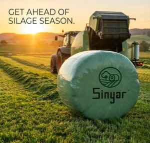 Silage film